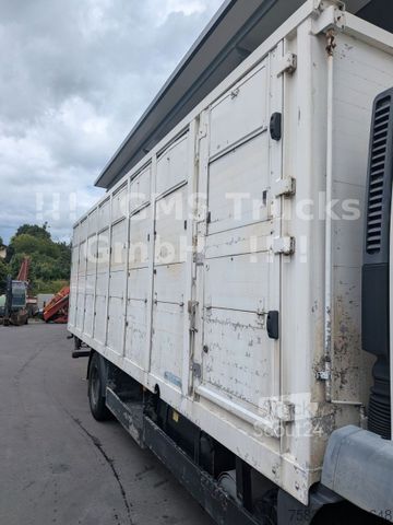 Вантажівка для перевезення худоби MAN TGM 15.290 / Menke / load 7750kg / E5