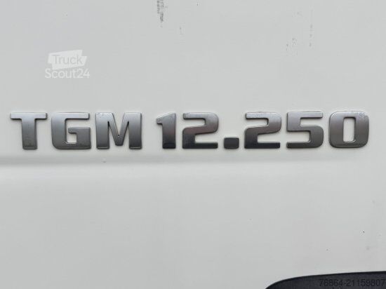 Tovorno vozilo s ravno platformo in ponjavo MAN TGM 12.250 4X2 BL D0836LFL63