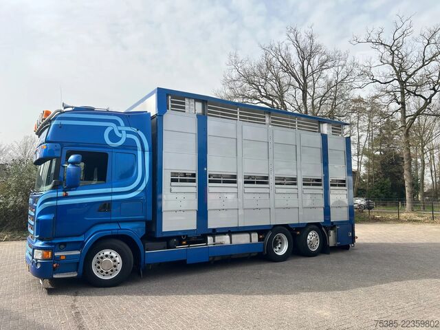 Stočni transport Scania R 500 LB 6X2*4 MNA Berdex 1/2/3 Moving roof Big...
