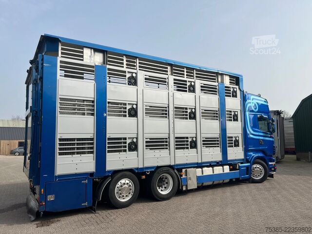 Stočni transport Scania R 500 LB 6X2*4 MNA Berdex 1/2/3 Moving roof Big...
