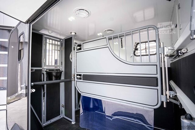 Veetransporter Mercedes-Benz Sprinter 317 Pferdetransporter Hengst