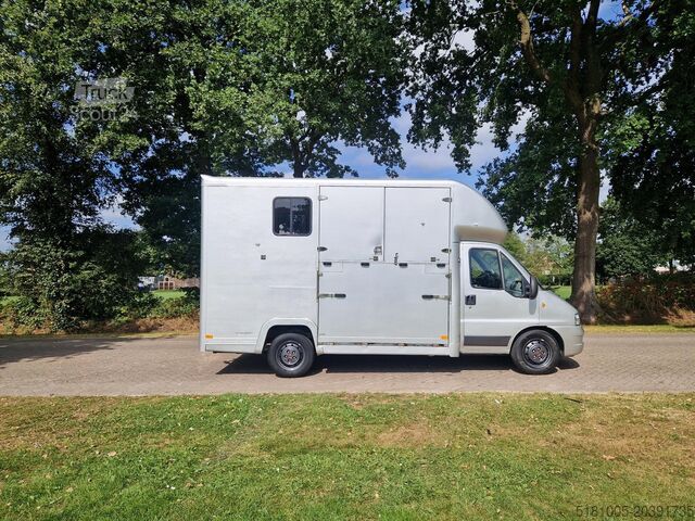 Μεταφορά αλόγων Fiat Ducato Fiat Ducato paardenwagen voor 2 paarden ...