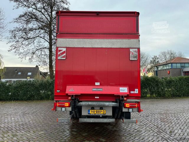 Suitcase DAF LF 260 Fa