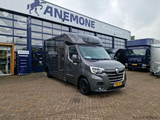 Transport af heste Renault Master paardenwagen Pro-Safety hengsten uitvoer...