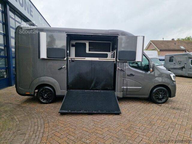 Transport af heste Renault Master paardenwagen Pro-Safety hengsten uitvoer...