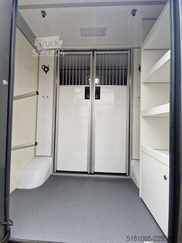 Transport af heste Renault Master paardenwagen Pro-Safety hengsten uitvoer...