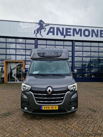 Transport af heste Renault Master paardenwagen Pro-Safety hengsten uitvoer...