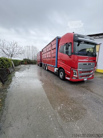 Transporte de ganado Volvo FH 16550