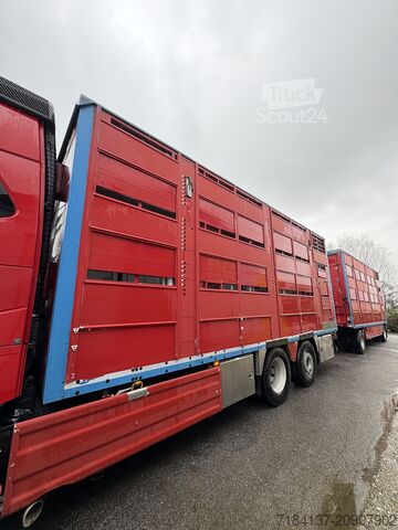 Transporte de ganado Volvo FH 16550