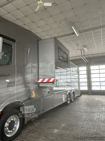 Autorulotă pentru cai Daimler Actros