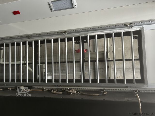 Autorulotă pentru cai Daimler Actros