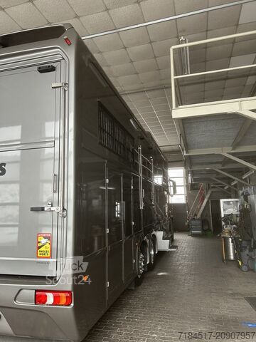 Autorulotă pentru cai Daimler Actros