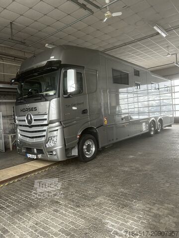 Autorulotă pentru cai Daimler Actros