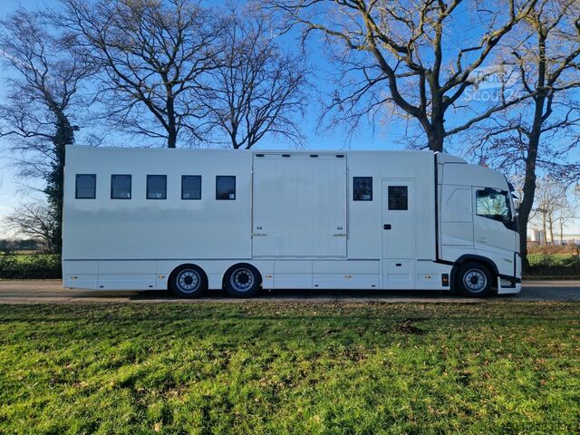 Transport av hester Volvo FH Middle East Specs Volvo FH 420 9 paarden, mi...