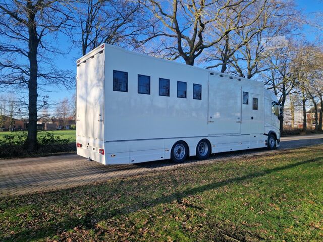 Transport av hester Volvo FH Middle East Specs Volvo FH 420 9 paarden, mi...