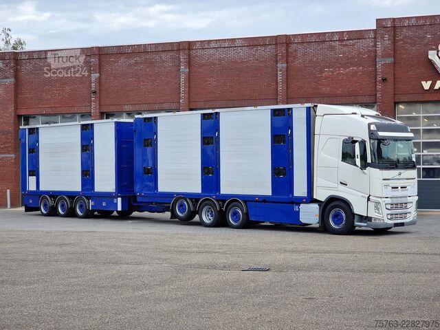 Превоз на едър рогат добитък Volvo FH 13.500 Globetrotter 8x2*6 - 3 deck livestock...