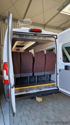 Minibus PEUGEOT Opel Movano Fiat Ducato Boxer mehrfach vorhanden
