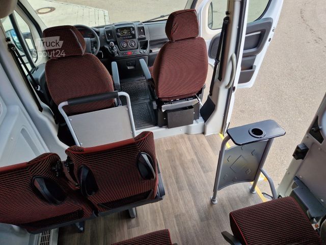 Minibus PEUGEOT Opel Movano Fiat Ducato Boxer mehrfach vorhanden