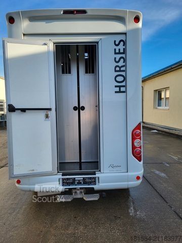 Trasportatore di bestiame RENAULT Master + Roelofsen