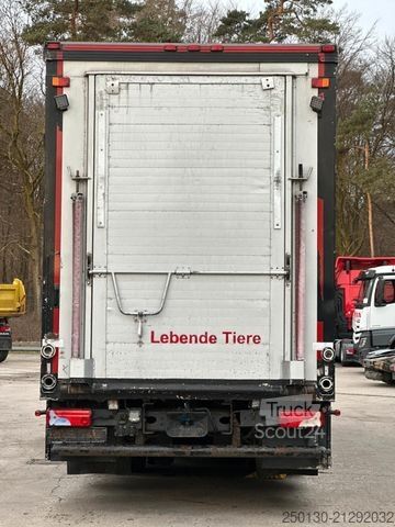Viehtransporter LKW SCANIA R500 6x2/4 LL 4.Stock Menke Tränke Hubdach