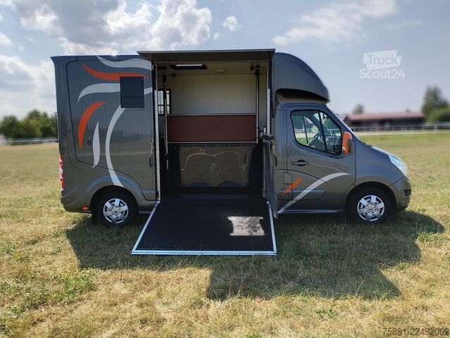Trasportatore di bestiame Renault Pferdetransporter Roelofsen 30.800KM