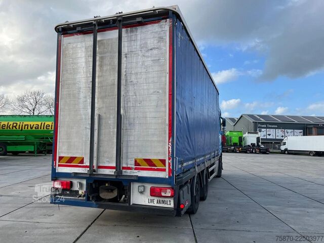 Transporte de ganado DAF XF 440 FAN Euro 6 inclusief Cuppens trailer