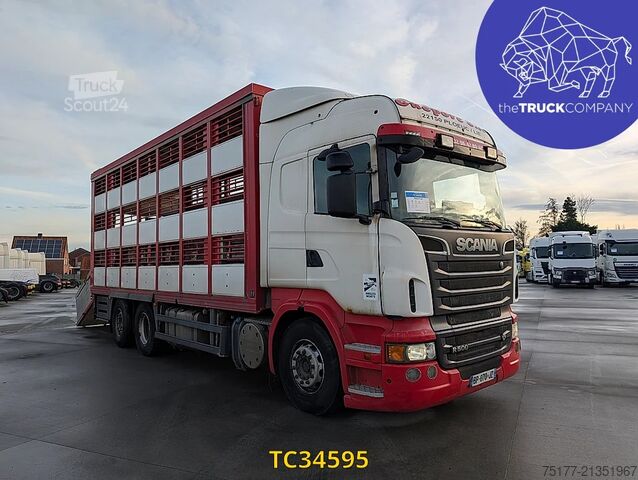 Превоз на едър рогат добитък Scania R 500