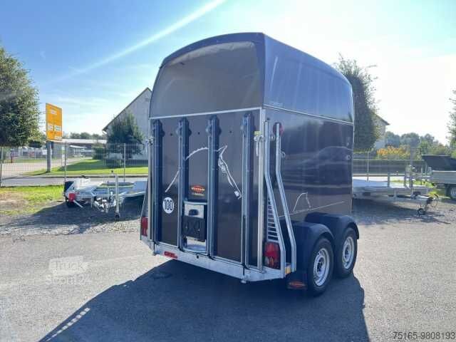 Remorque de transport de chevaux Böckmann Comfort Pferdeanhänger