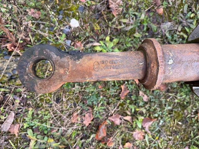 Kokmateriālu transportieris Zanner AKH 18 PRZYCZEPA DO LASU