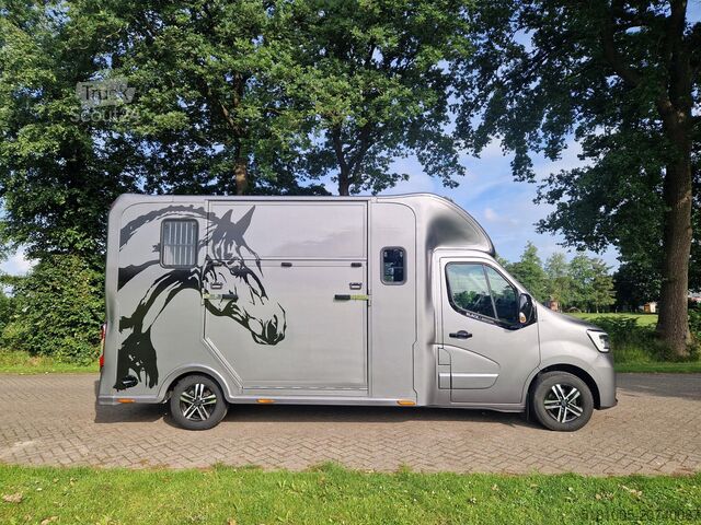 Transport av hästar Renault Master Occasion paardenwagen Automaat 5 zitplaa...