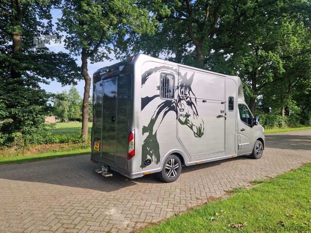 Transport av hästar Renault Master Occasion paardenwagen Automaat 5 zitplaa...