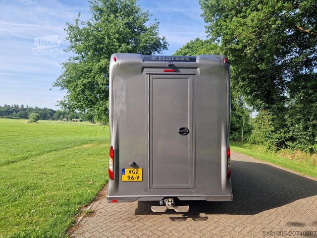 Transport av hästar Renault Master Occasion paardenwagen Automaat 5 zitplaa...