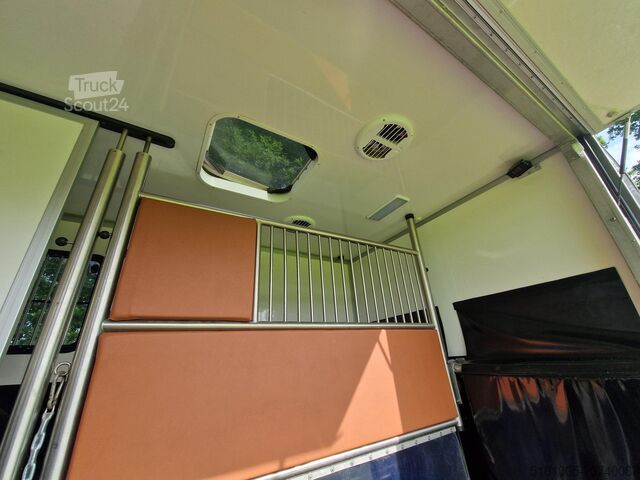 Transport av hästar Renault Master Occasion paardenwagen Automaat 5 zitplaa...