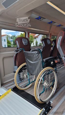 Minibus Opel Movao Fiat Ducato Systemboden Rolli