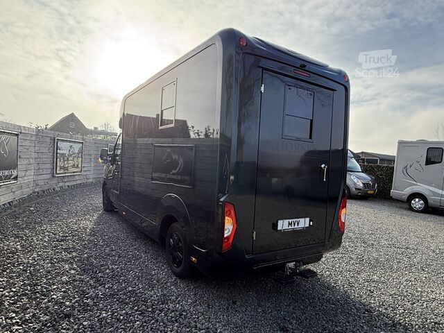Transport de chevaux Renault Master PAARDENWAGEN | HORSETRUCK | STX | STALLI...
