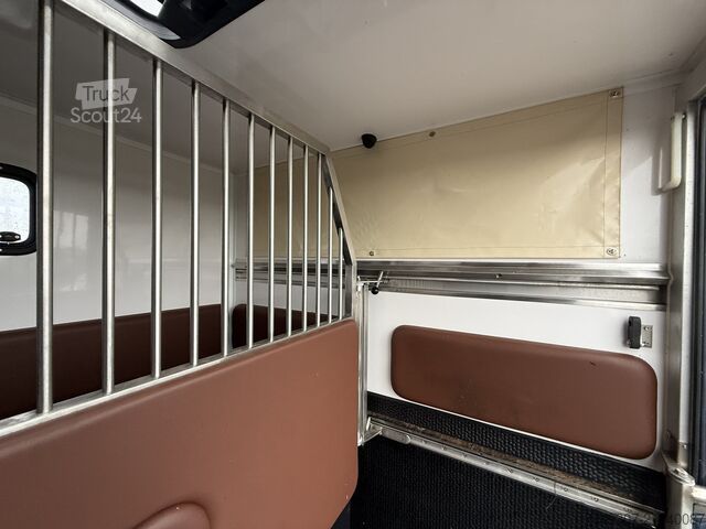 Перевозка лошадей Renault Master PAARDENWAGEN | HORSETRUCK | ATM | STALLI...