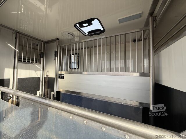 Paarden transport RENAULT MASTER PAARDENWAGEN | HORSETRUCK | TVW | STALLI...