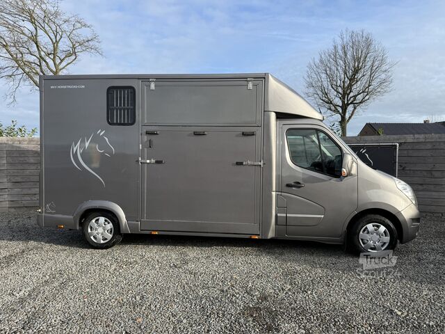 Paarden transport RENAULT MASTER PAARDENWAGEN | HORSETRUCK | TVW | STALLI...