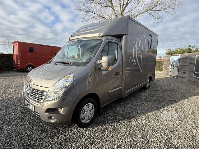 Paarden transport RENAULT MASTER PAARDENWAGEN | HORSETRUCK | TVW | STALLI...