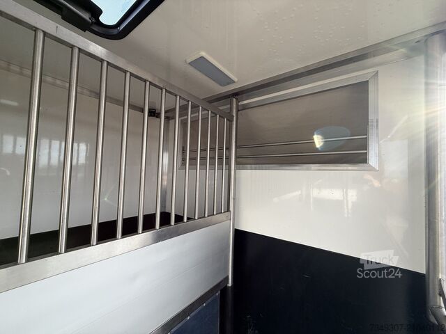 Paarden transport RENAULT MASTER PAARDENWAGEN | HORSETRUCK | TVW | STALLI...