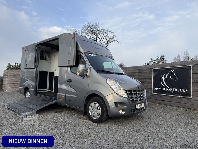 Paarden transport Renault Master PAARDENWAGEN | HORSETRUCK | MTM | STALLI...