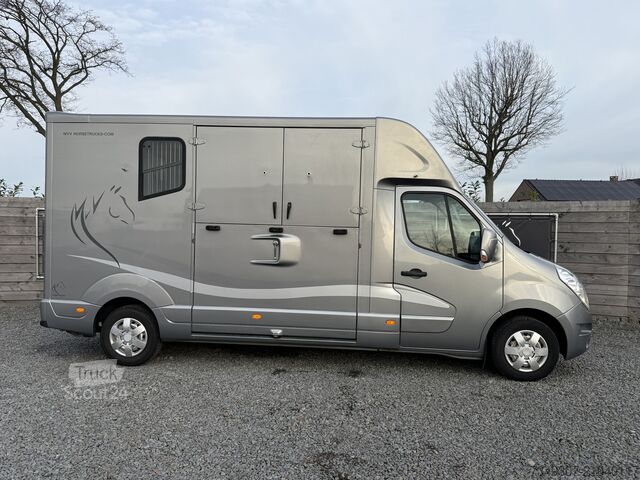 Paarden transport Renault Master PAARDENWAGEN | HORSETRUCK | MTM | STALLI...