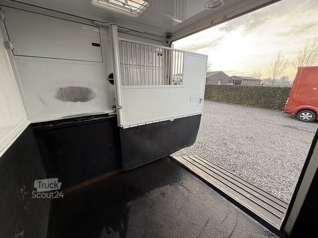 Paarden transport Renault Master PAARDENWAGEN | HORSETRUCK | MTM | STALLI...