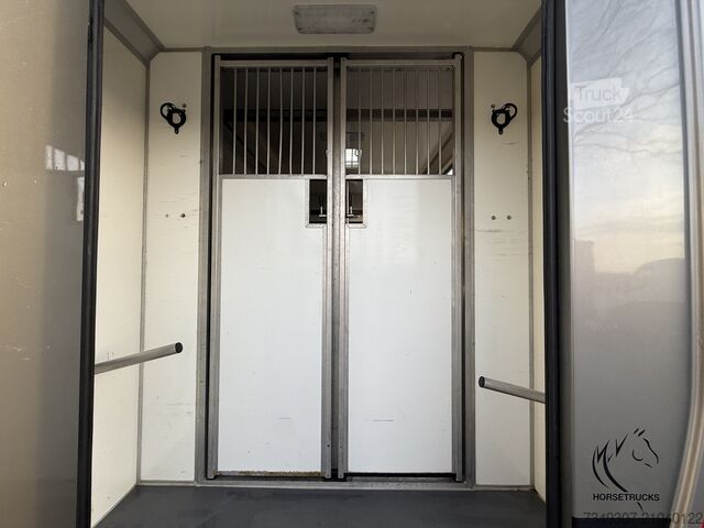 Transport de chevaux Opel Movano PAARDENWAGEN | HORSETRUCK | STX | STALLI...