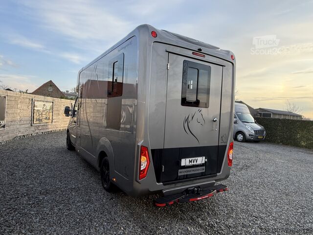 Transport de chevaux Opel Movano PAARDENWAGEN | HORSETRUCK | STX | STALLI...