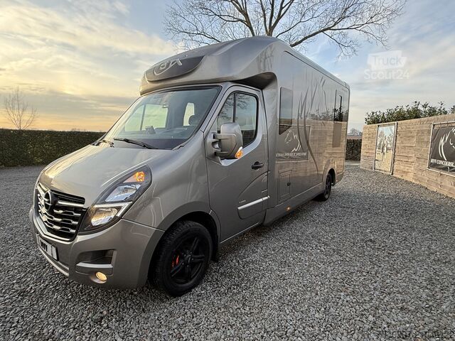 Transport de chevaux Opel Movano PAARDENWAGEN | HORSETRUCK | STX | STALLI...