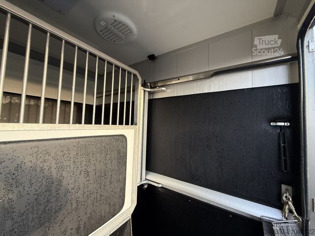 Transport de chevaux Opel Movano PAARDENWAGEN | HORSETRUCK | STX | STALLI...