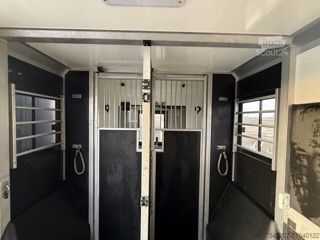 Transport de chevaux Opel Movano PAARDENWAGEN | HORSETRUCK | STX | STALLI...