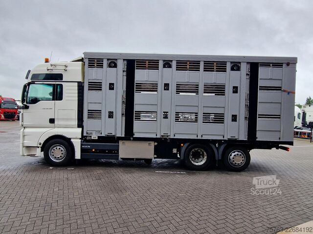 Veetransport MAN TGX 26.480 6x2*4 - Menke 3 deck livestock 50.40...