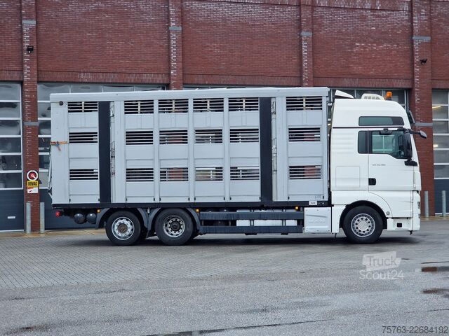 Veetransport MAN TGX 26.480 6x2*4 - Menke 3 deck livestock 50.40...